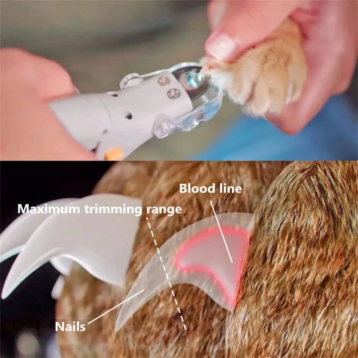 Pet Jaw Clipper with Light 2