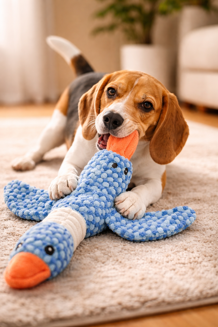 Plush dog chew toy with squeaking sound