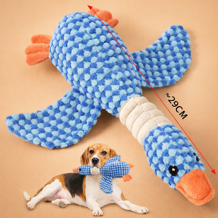 Plush dog chew toy with squeaking sound