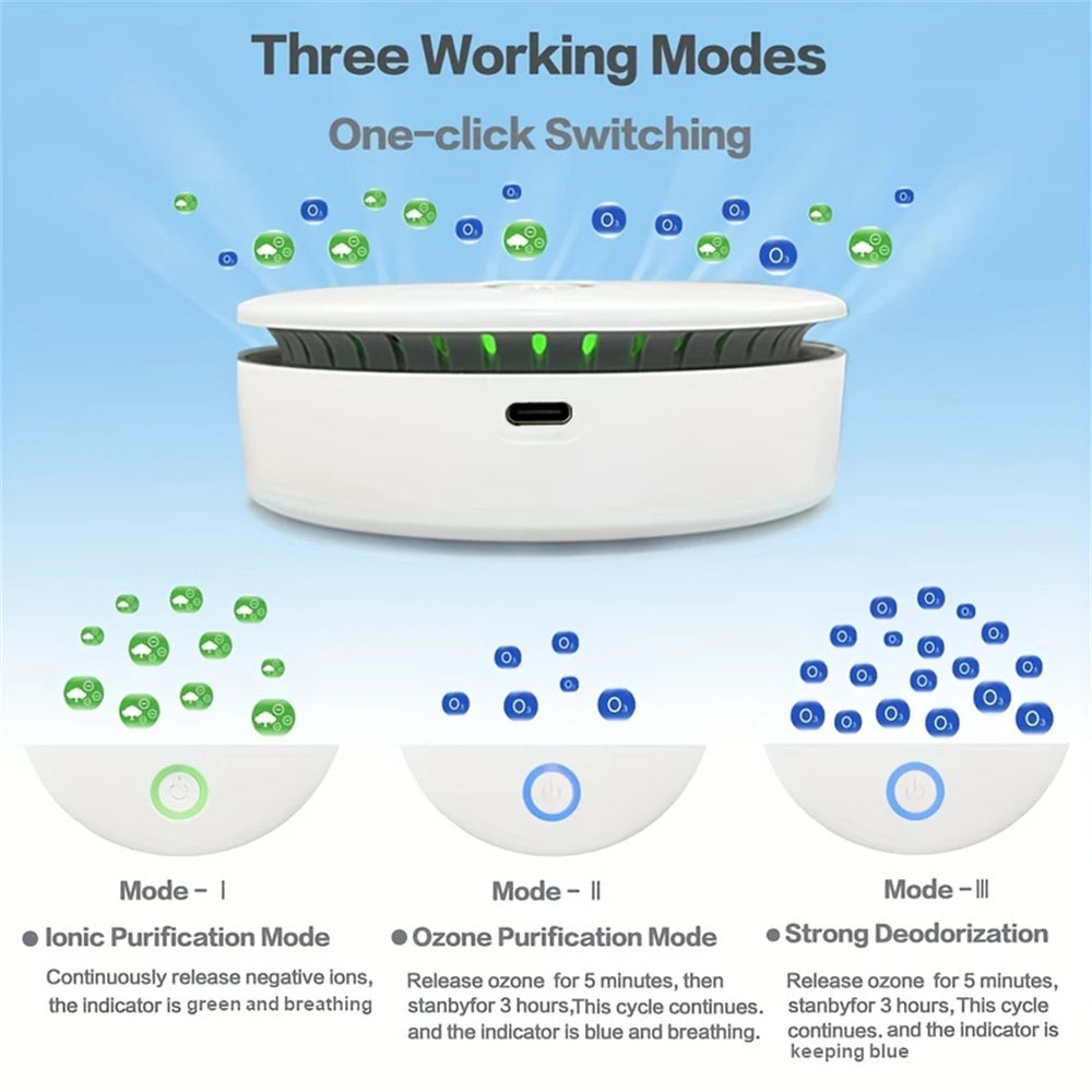 Portable air purifier and deodorizer 1