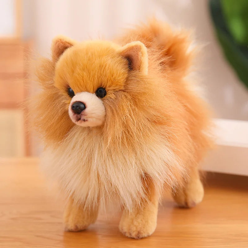 Premium Plush Pomeranian Stuffed Animal – Soft Realistic Dog Plushies for Kids, 12 Inches Tall 0
