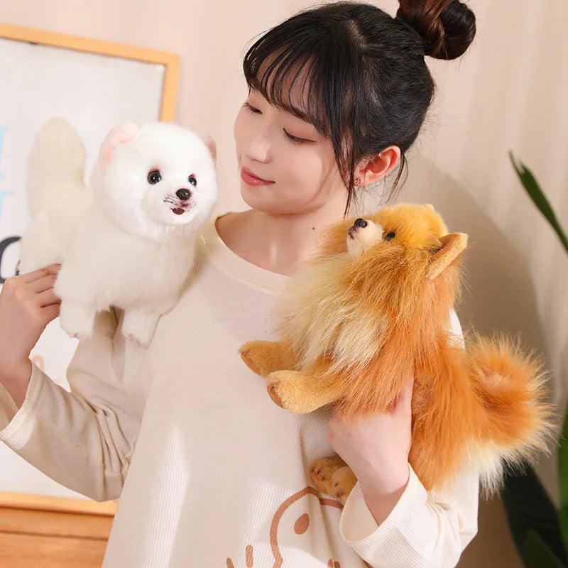 Premium Plush Pomeranian Stuffed Animal – Soft Realistic Dog Plushies for Kids, 12 Inches Tall 2