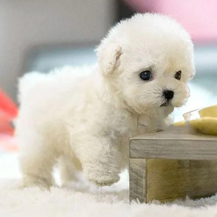 Realistic robot puppy 1