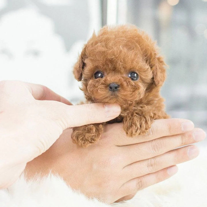 Realistic robot puppy 3