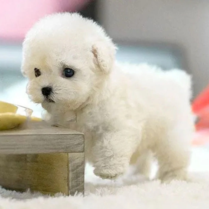 Robot puppy interactive toy realistic puppy for kids 1