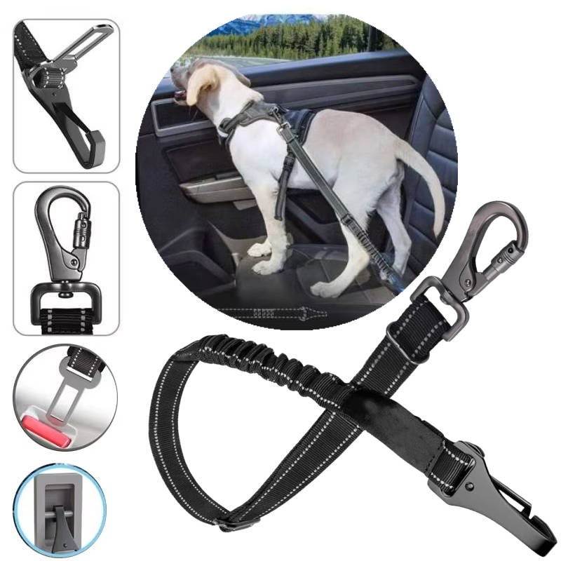 Seatbelt for dogs in the car 0