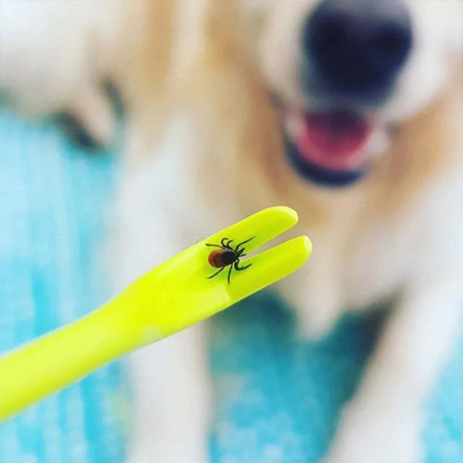 Tick removal device for dogs and pets 4