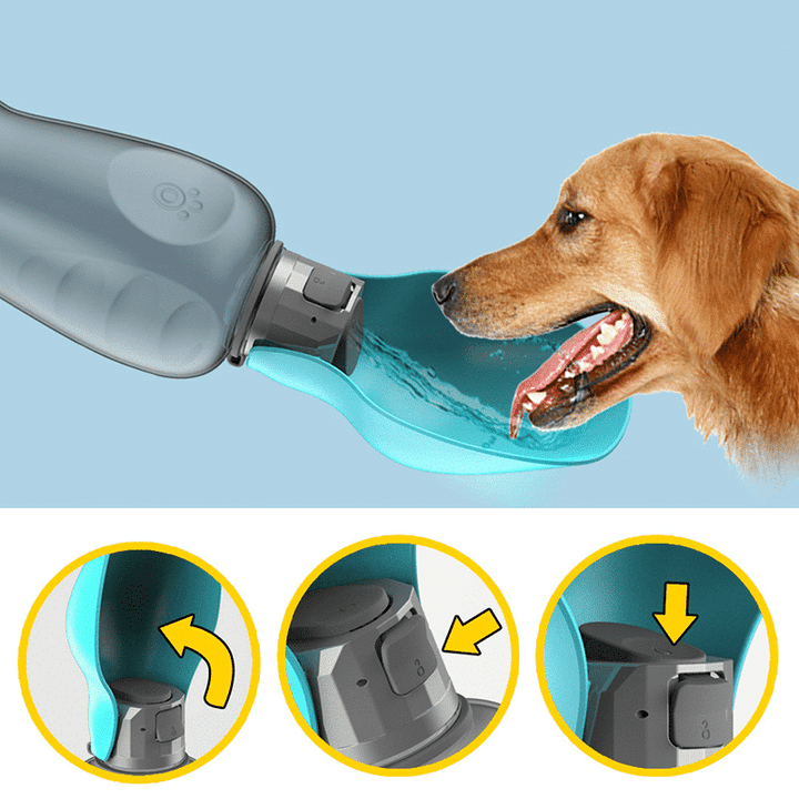 Travel Water Bottle for Dogs with Foldable, Leak-Proof Bowl, Large Capacity 27.05 oz 4