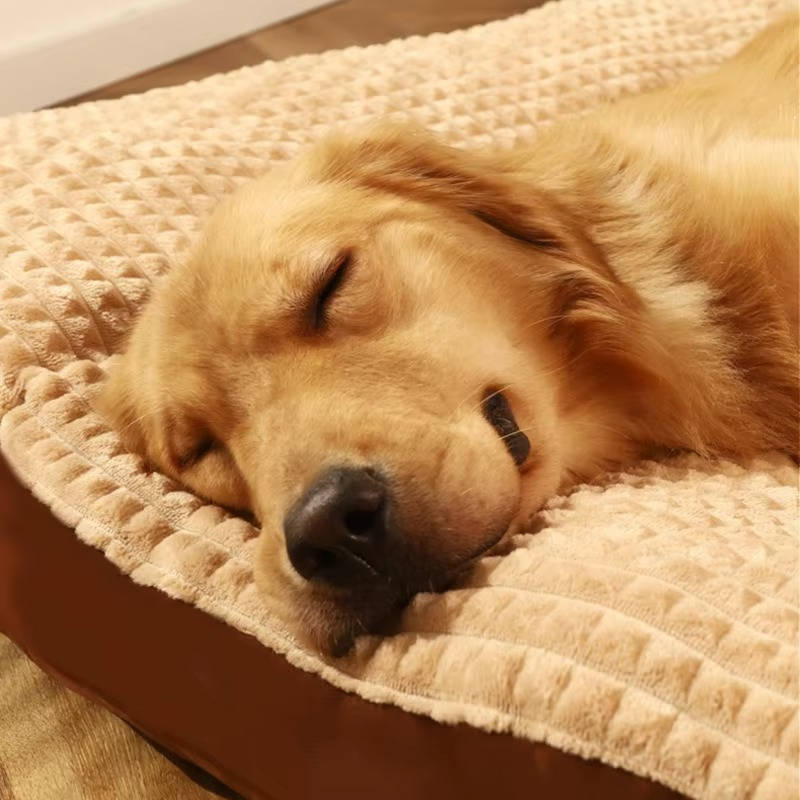 Warm dog bed with soft fleece 4