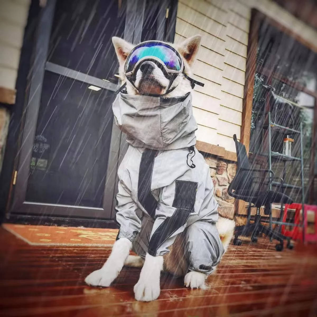 Waterproof raincoat for dogs 1