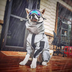 Waterproof raincoat for dogs 1