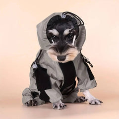 Waterproof raincoat for dogs 2
