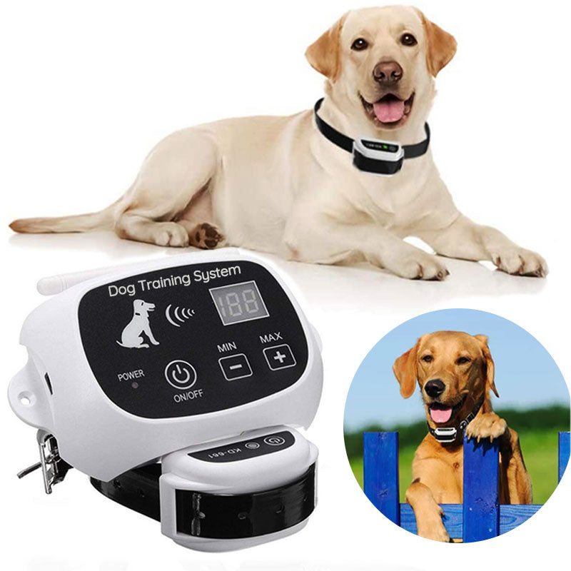 Wireless dog fence with collar 0