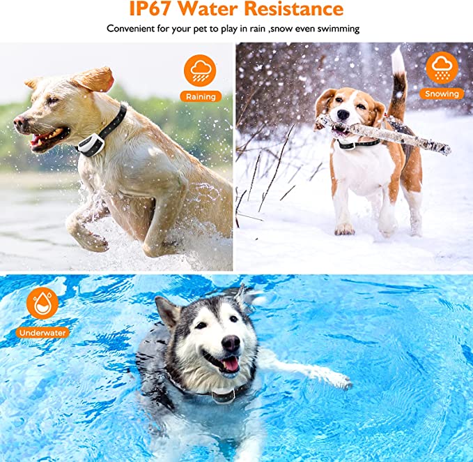 Wireless dog fence with collar 2